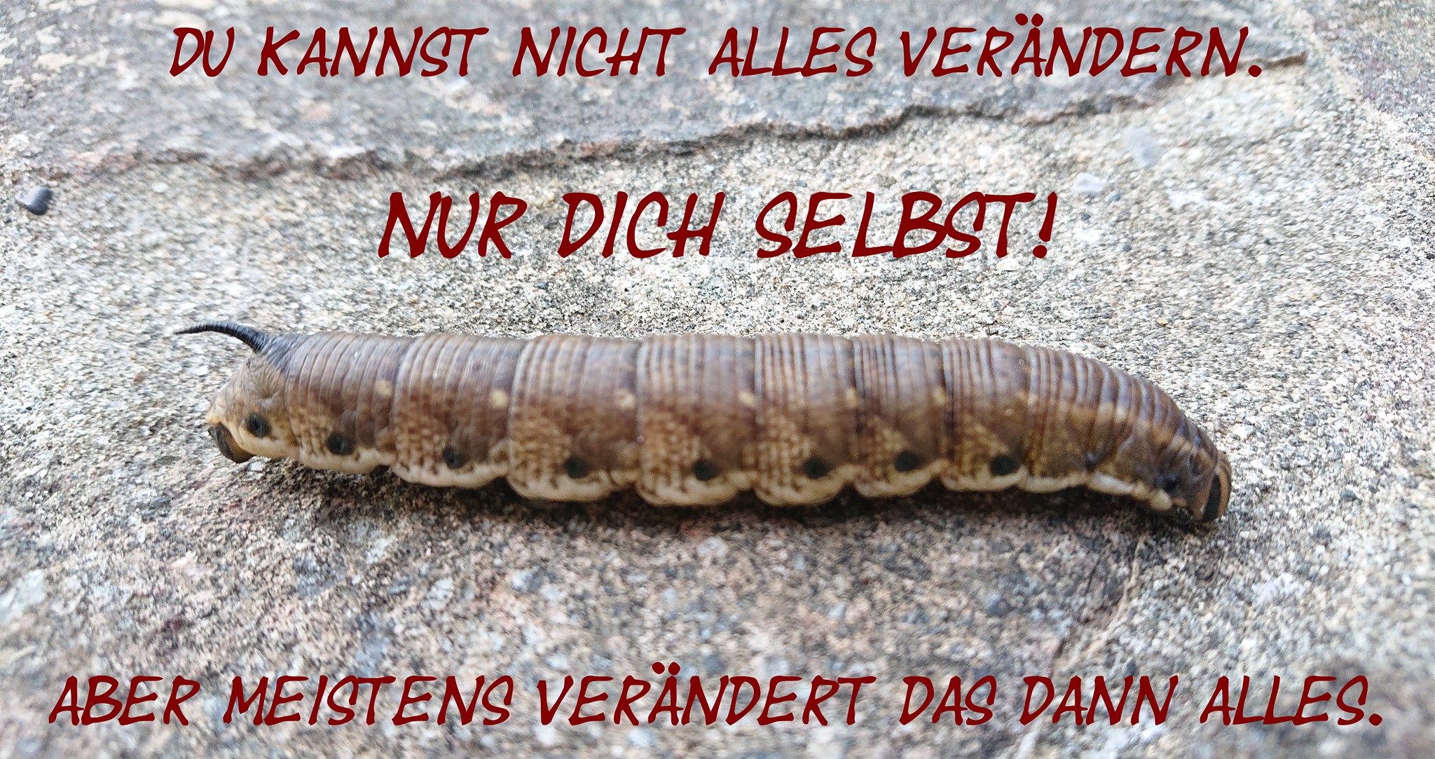 ganzheitliche energetische lösungswege